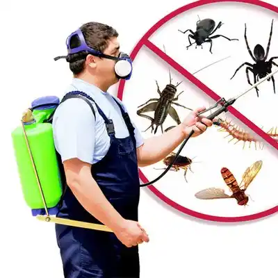 pest control Mount Ephraim